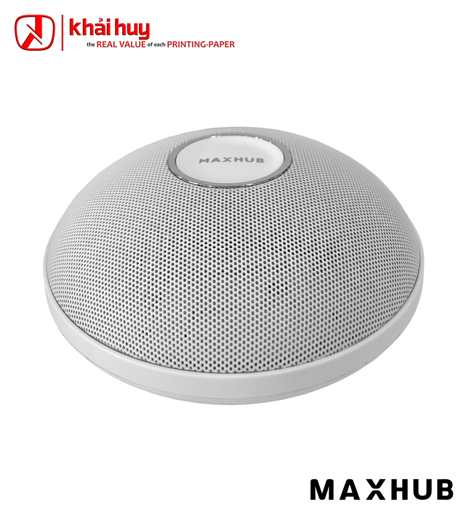 MICRO MAXHUB CM20