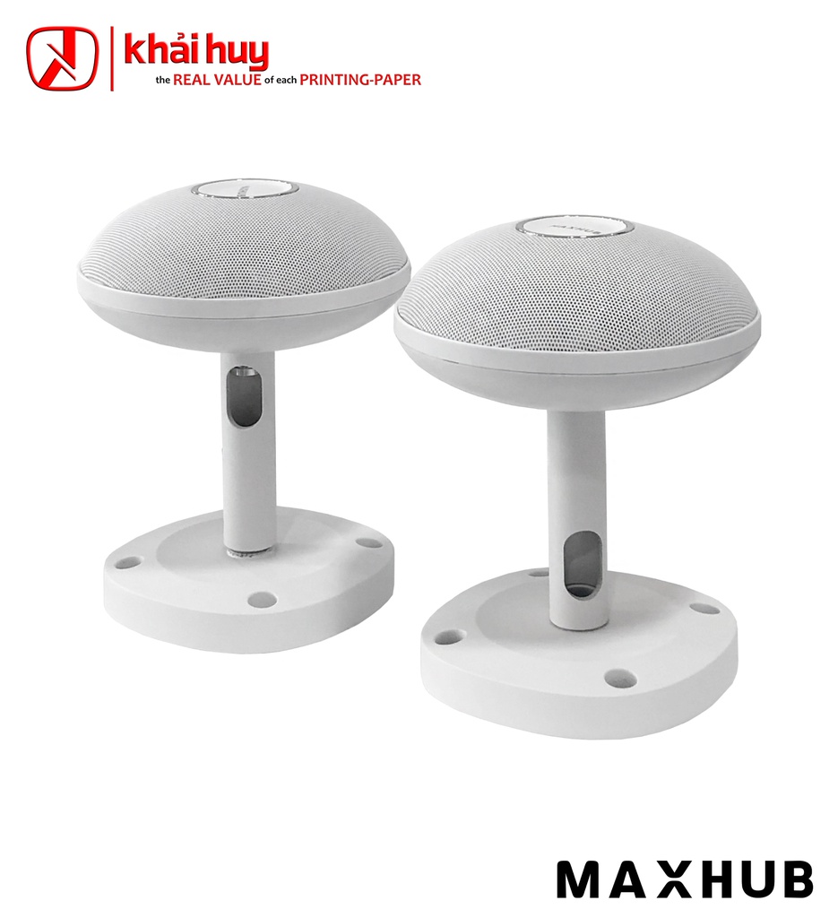MICRO MAXHUB CM20